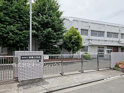 横浜市立神橋小学校 241m