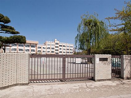 足立区立辰沼小学校 513m