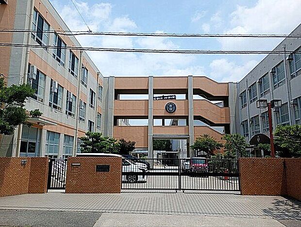 名古屋市立豊岡小学校(約512m)