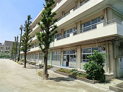 市川市立大洲小学校 269m