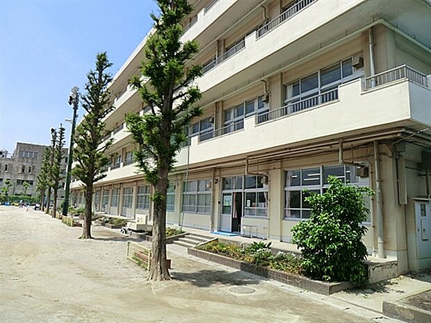 市川市立大洲小学校(約269m)