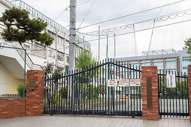 杉並区立高井戸中学校(約560m)