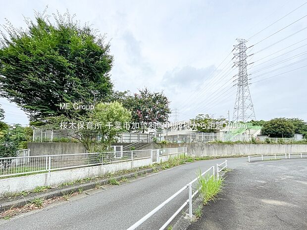 桜木保育所(約1,000m)