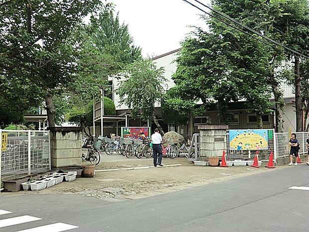 柏市立柏第一小学校（約650m）