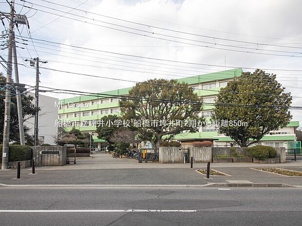 船橋市立坪井小学校（約850m）