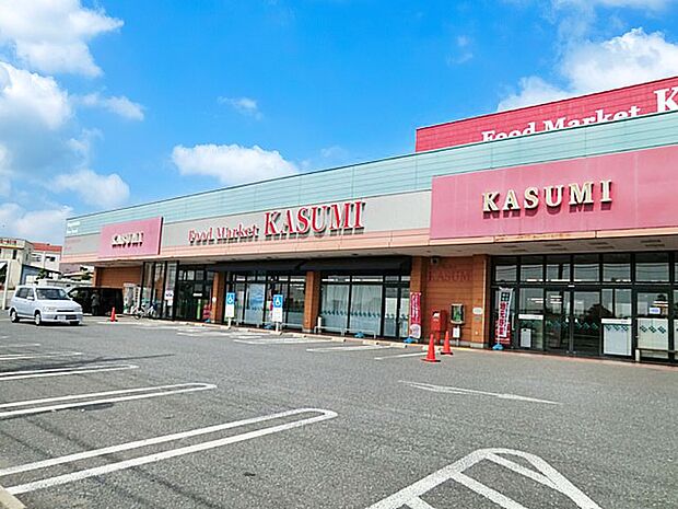 カスミ八千代大和田店（約600m）