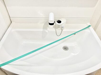 その他設備(ハンドシャワー水栓)