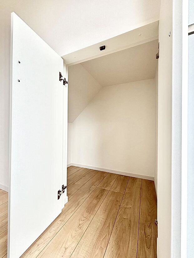 【その他設備(階段下収納)】日用品のストックや水などの備蓄に使える階段下収納。