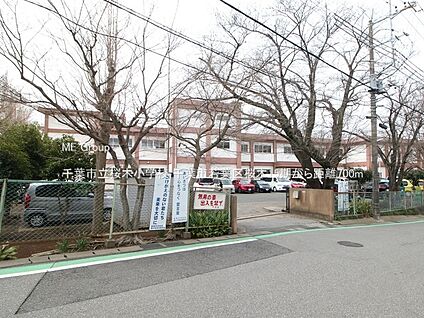 千葉市立桜木小学校 700m
