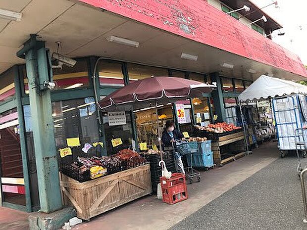 スーパーチェーンカワグチ こてはし南店（約550m）