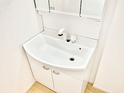 その他設備(ハンドシャワー水栓)