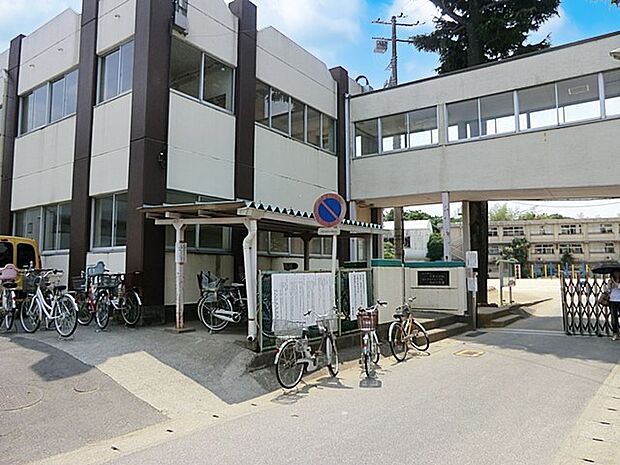 松戸市立小金小学校(約1,300m)