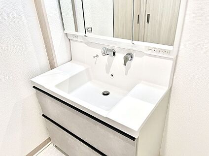 その他設備(ハンドシャワー水栓)