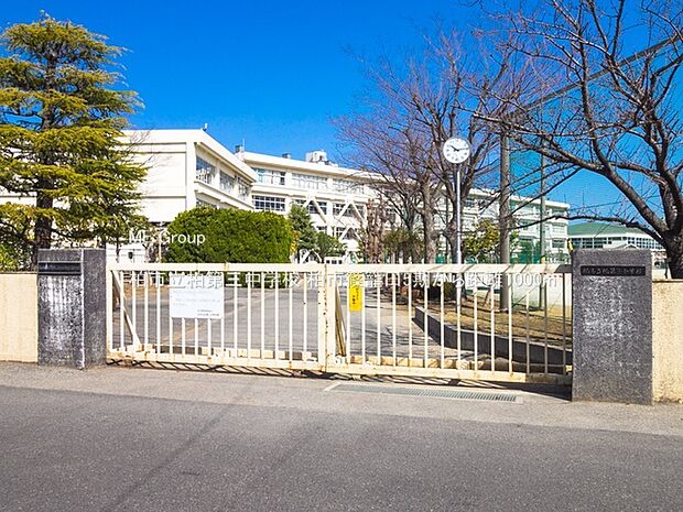 柏市立柏第三中学校(約1,000m)