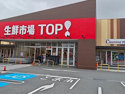 生鮮市場TOP！ 松戸古ヶ崎店 1200m