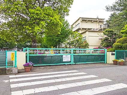 柏市立柏第八小学校 550m