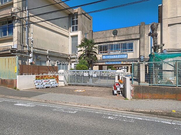 柏市立高柳小学校(約290m)