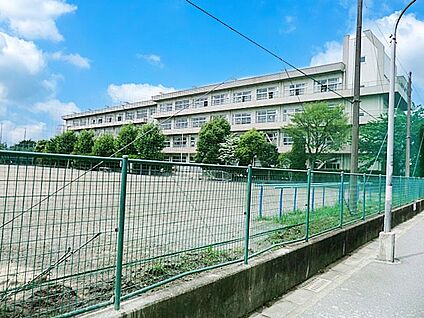 市川市立第八中学校 855m