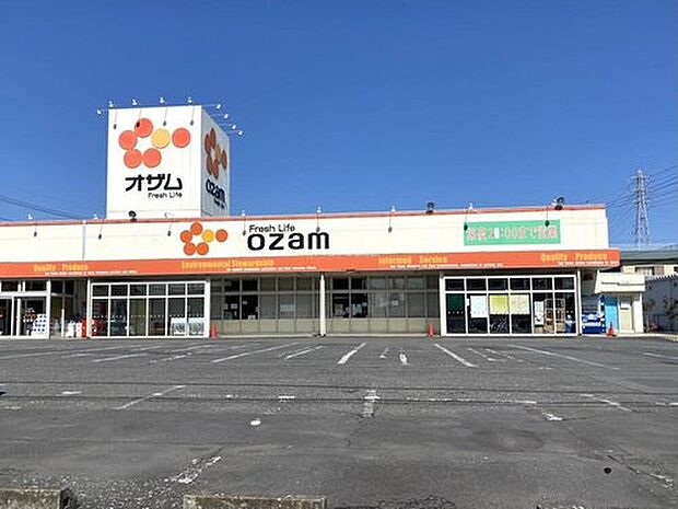 スーパーオザム河辺店（約350m）