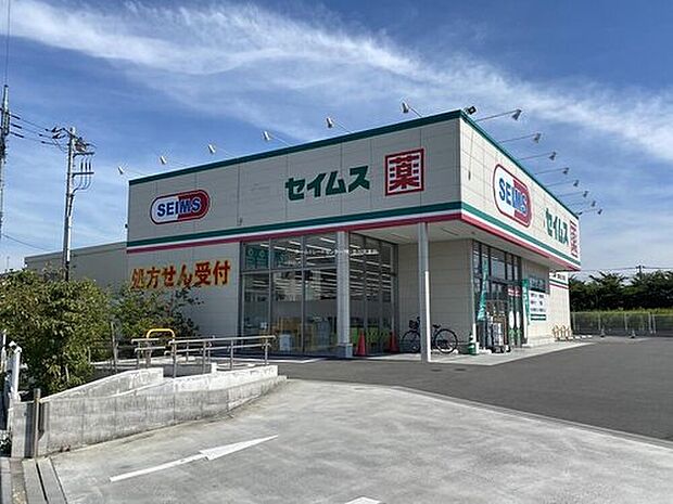 ドラッグセイムス武蔵村山三ツ藤店（約1,300m）