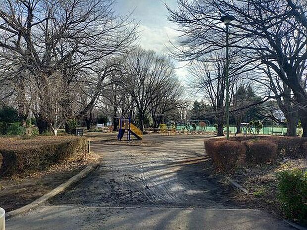 旭が丘中央公園（約550m）