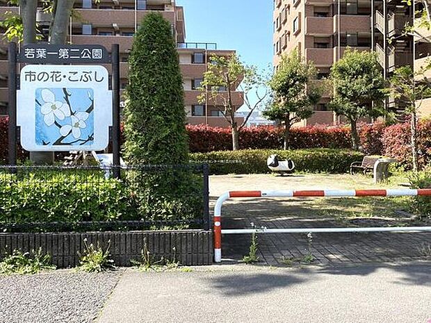 若葉一第二公園（約1,000m）