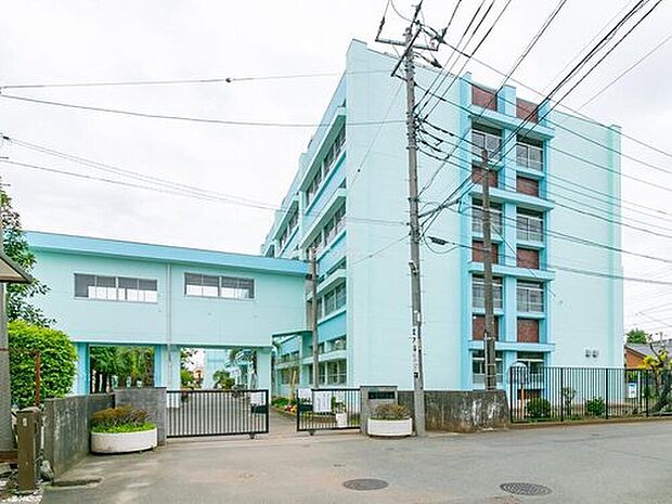 昭島市立清泉中学校(約800m)