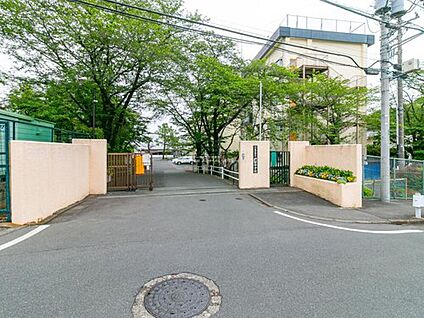 八王子市立椚田中学校 1100m(徒歩14分)
