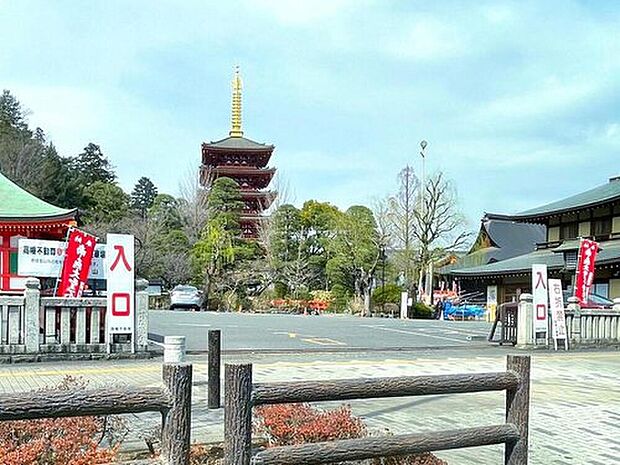 高幡不動尊（約2,300m）