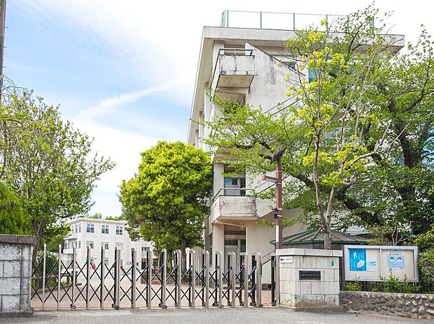 羽村市立羽村東小学校（約800m）