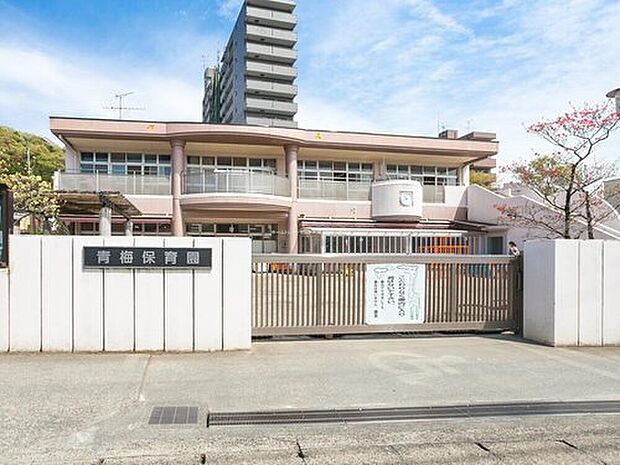青梅保育園（約1,000m）