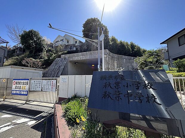 秋葉中学校(約750m)