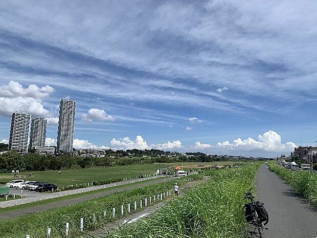 多摩川緑地（約960m）