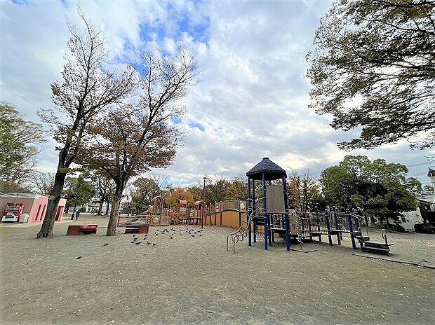 橘公園（約1,000m）