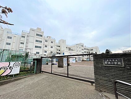 柳橋小学校 350ｍ(徒歩5分)