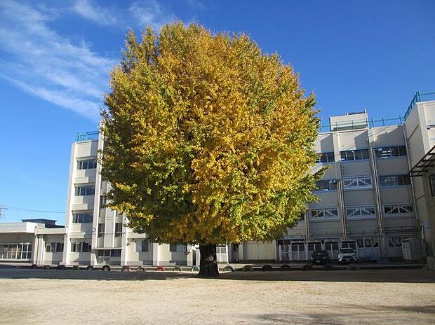 塚田小学校（約400m）