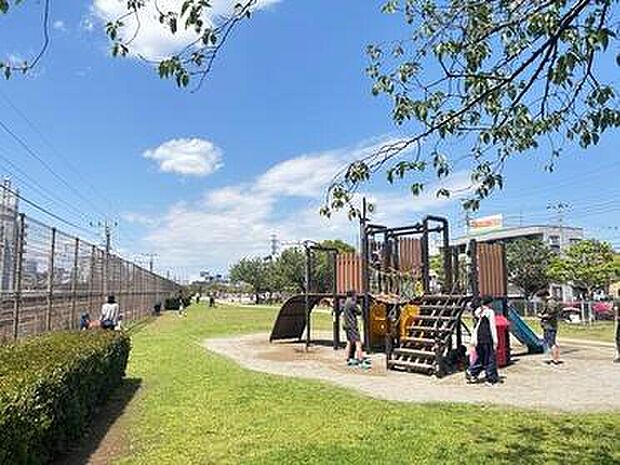 船橋近隣公園（約320m）