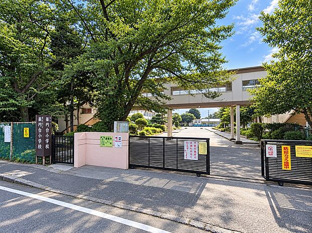 薬円台小学校