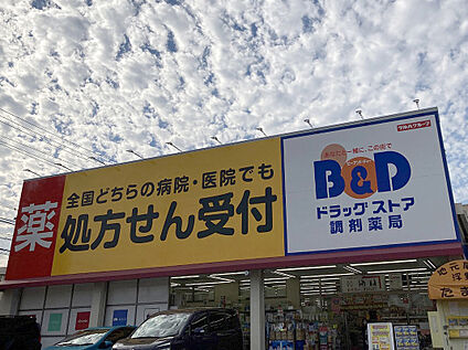 B＆Dドラッグストア新守山店 875ｍ(徒歩約11分)