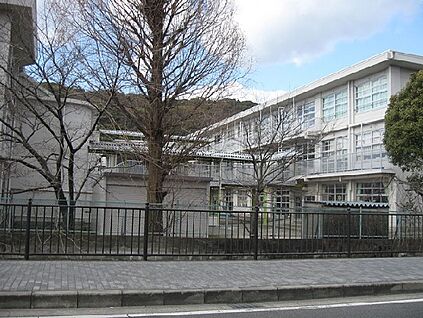 八幡市立八幡小学校 徒歩1200m