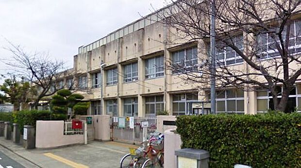 堺市立浜寺昭和小学校