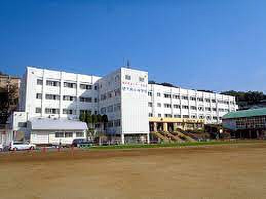 柏原市立堅下南小学校