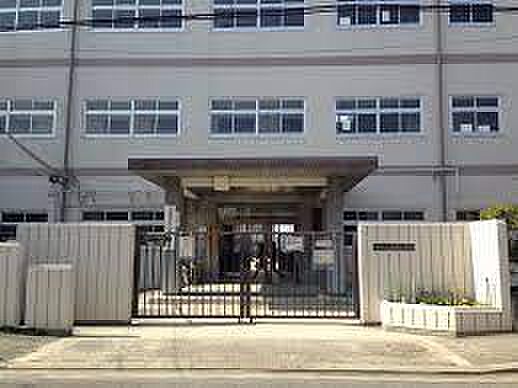 高石市立清高小学校