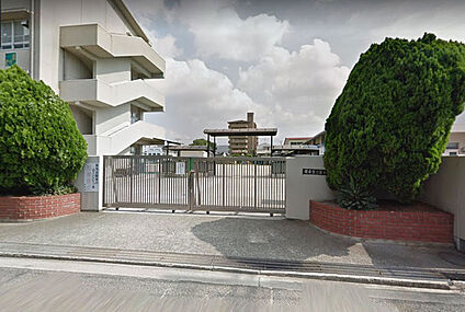 堺市立三宝小学校 徒歩960m
