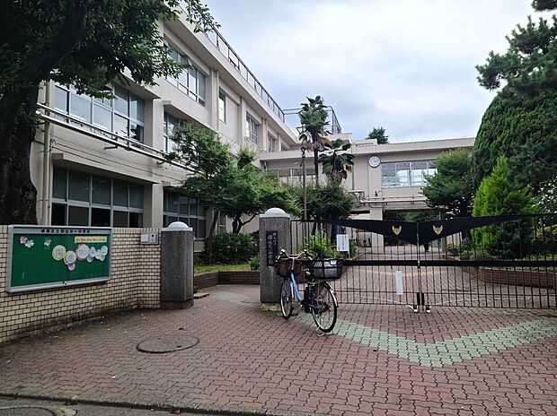 練馬区立開進第一中学校(約1m)