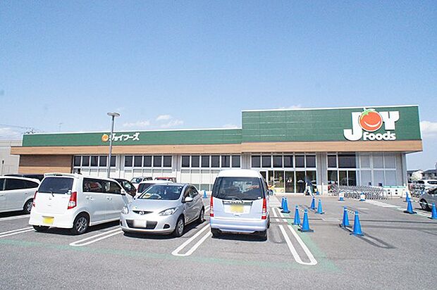 ジョイフーズ 野田山崎店（約700m・徒歩9分）