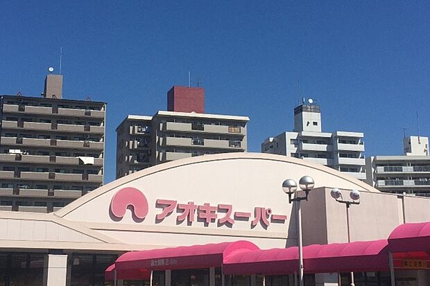 アオキスーパー（植田店）（約1,200m）