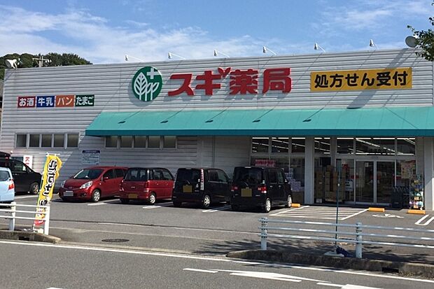 スギ薬局(高横須賀店)