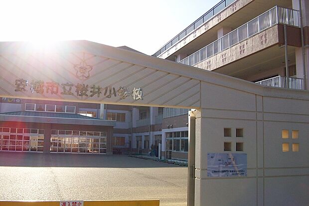 桜井小学校