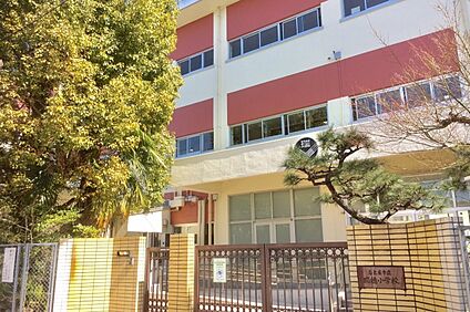 瑞穂小学校 約600～620ｍ(徒歩8分)